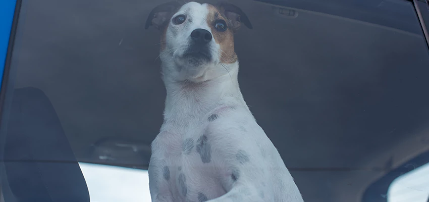 Car Lockout Solutions in Tamalpais-Homestead Valley, California